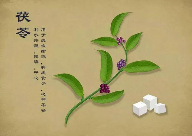 阴阳两虚、气血亏虚、寒热虚实错杂，但虚不受补，常用仲景薯蓣丸