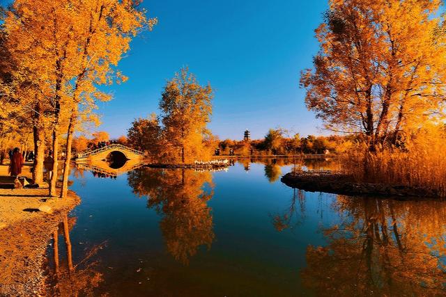 在基础教育领域里，是否真的能够遵从儿童的天性