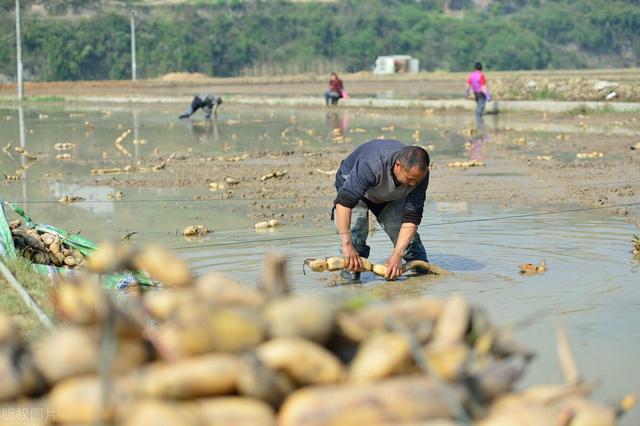 中医提醒：天凉了体内寒湿的人群，这几种食物就别吃了