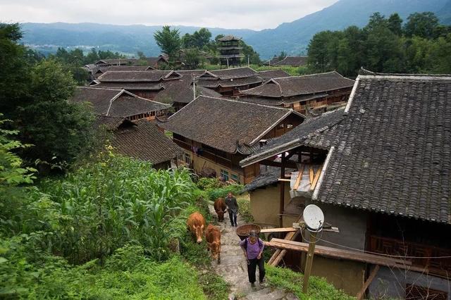 重庆武隆四日游最佳攻略（国庆来重庆旅游）(83)