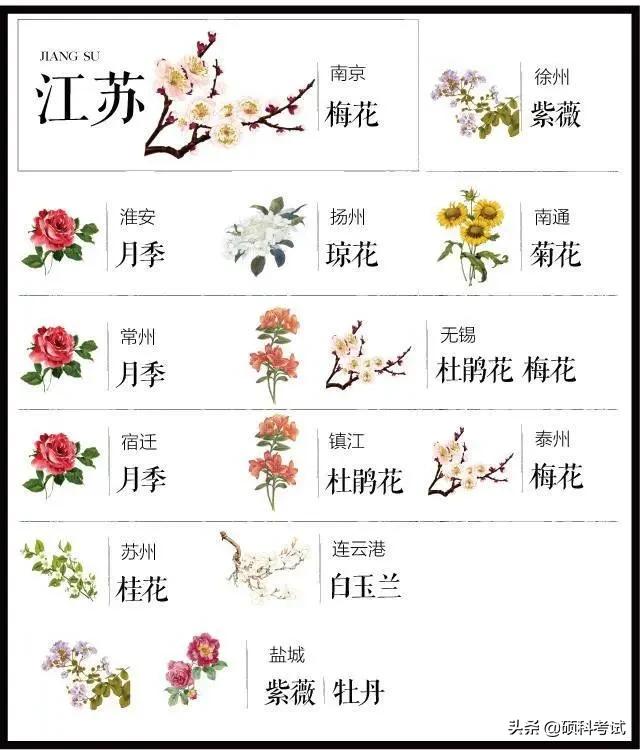 中国各城市市花