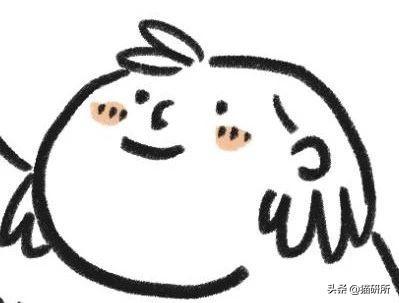 洗衣机洗猫砂