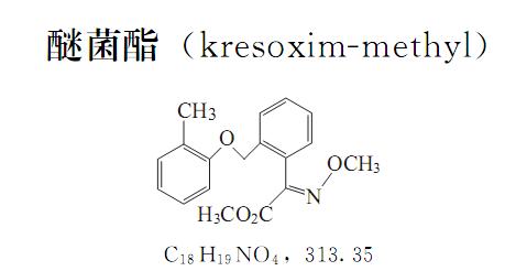 醚菌酯——新型仿生杀菌剂，防治蔬菜白粉病有特效，还延长采收期