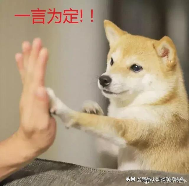 鸡皮肤是不是用硫磺皂