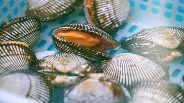 人人都会感冒，那么如何增强免疫力，避免疾病的发生呢？