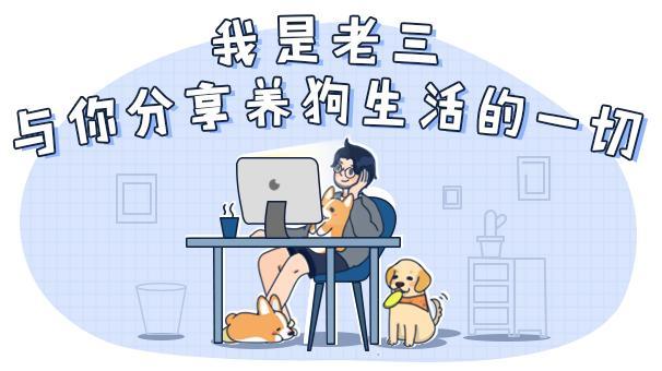 沙克犬 沙克犬（沙克尔顿远征南极视频） 动物