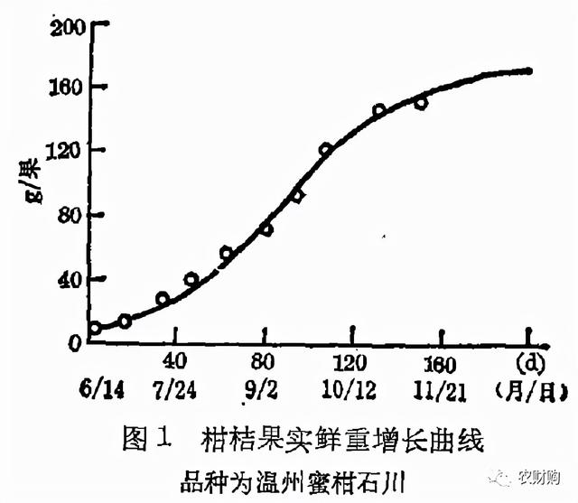 柑橘打了着色药就停止膨果？果径多大才能打着色药？2