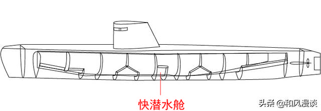 鱼鳔是什么