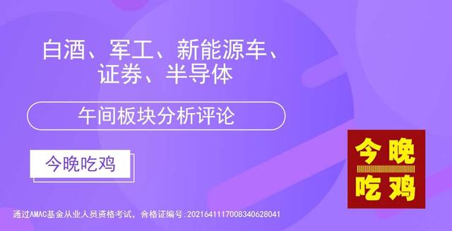 11.11午间对于白酒、半导体、证券、新能源车的分析及建议
