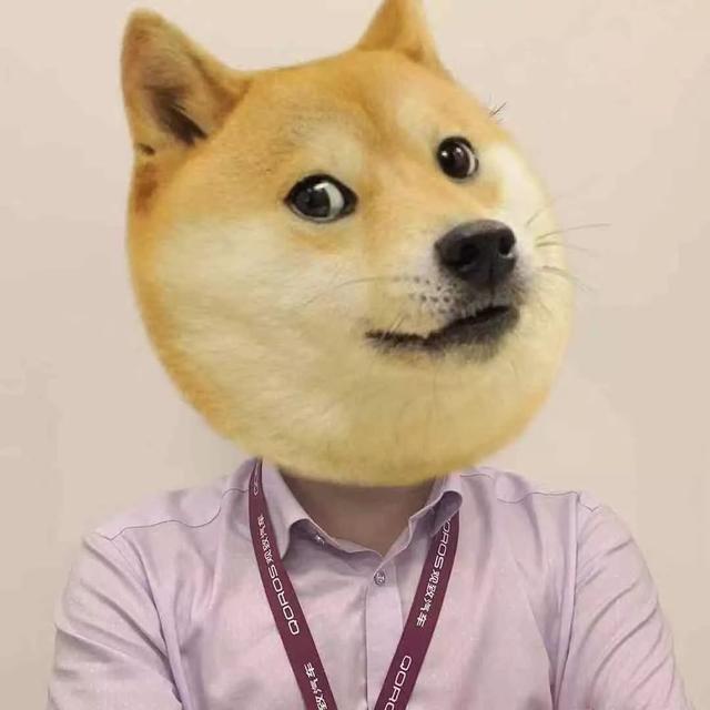 汽车调校是什么意思