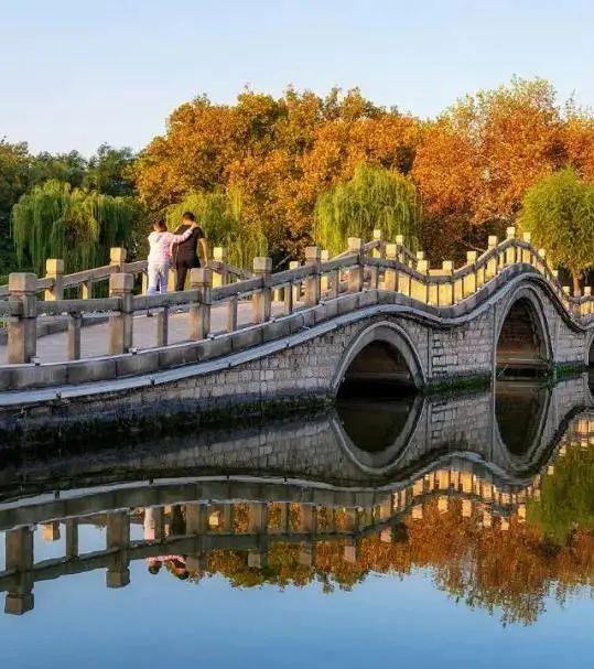 山东秋天景点排行榜前十名（人间最美是秋色）(29)