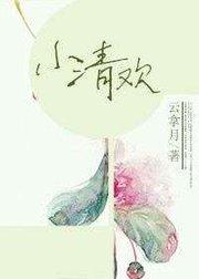 小清欢免费阅读全文笔趣阁(苏清欢南司城免费阅读全文)