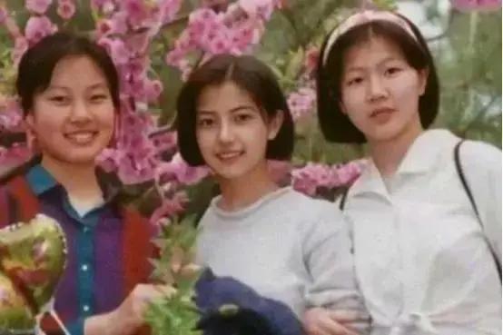 赵又廷高圆圆差几岁:曾经绯闻不断的气质女神高圆圆，为何最终选择嫁给老实人赵又廷？