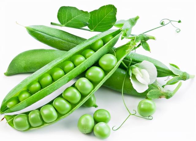 小小豌豆，居然这么厉害？