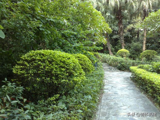 回顾诺基亚N95：当年高贵的机皇