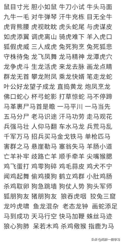 惊弓之鸟的主人公是谁