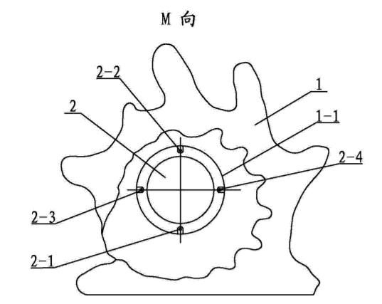 唐冠螺