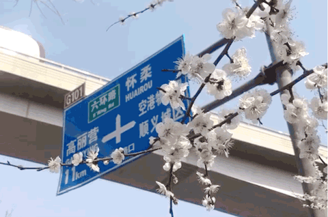 春风十里寻花路，顺义最美四月天