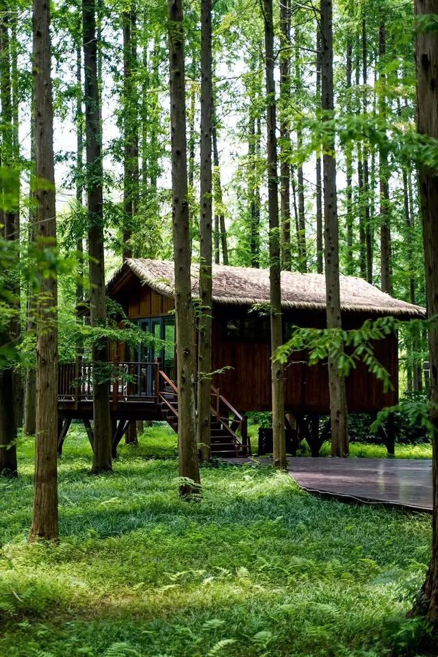 黃海森林公園團建