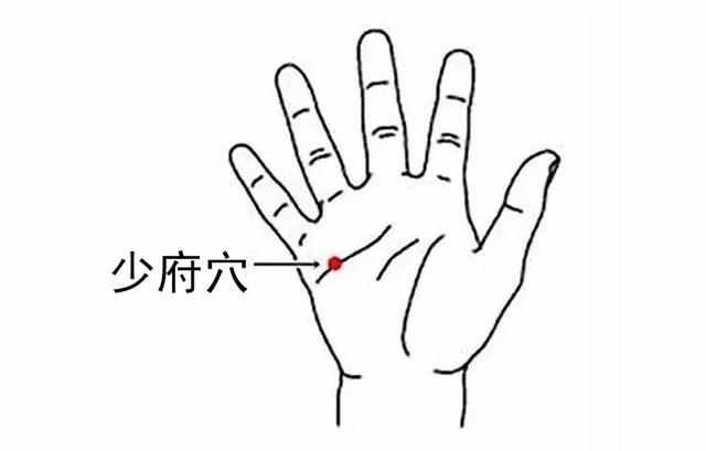 中医分享：五大养心穴位，每天按一按，预防心脏病，收藏有大用