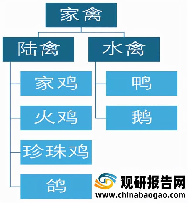 2021年中国家禽行业分析报告-行业竞争格局与发展商机研究