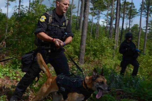 美国低学历的人做什么(美国低学历者在干什么)