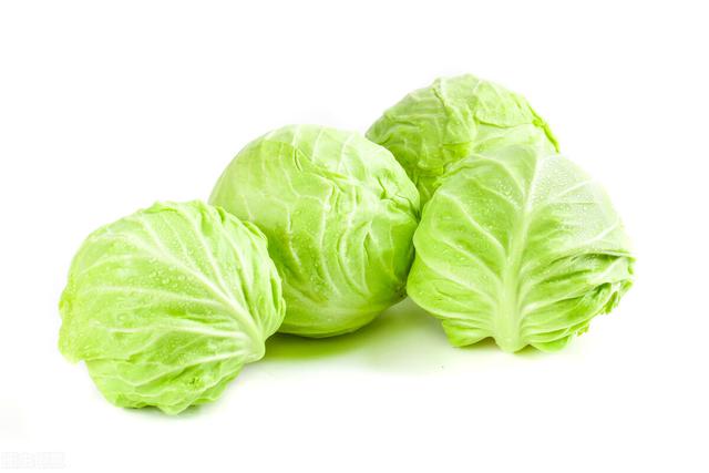 甘蓝菜科