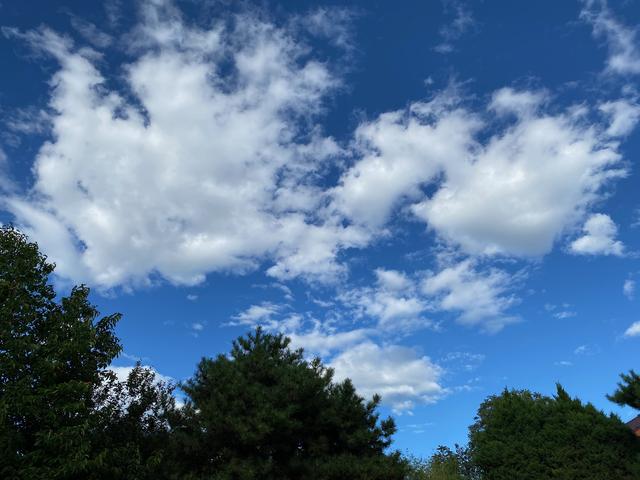 意不意外? 华为P50 Pro首测2: 网友要求再拍10组对比, 逼出它影像极限