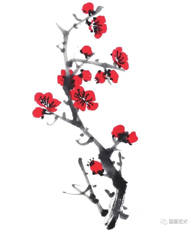 王成喜写意梅花的画法教程,图文教程白梅红梅