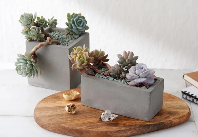 穿越星际太子妃全文(星际落跑太子妃小说)