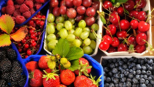 怎样治鸡皮肤色素推荐