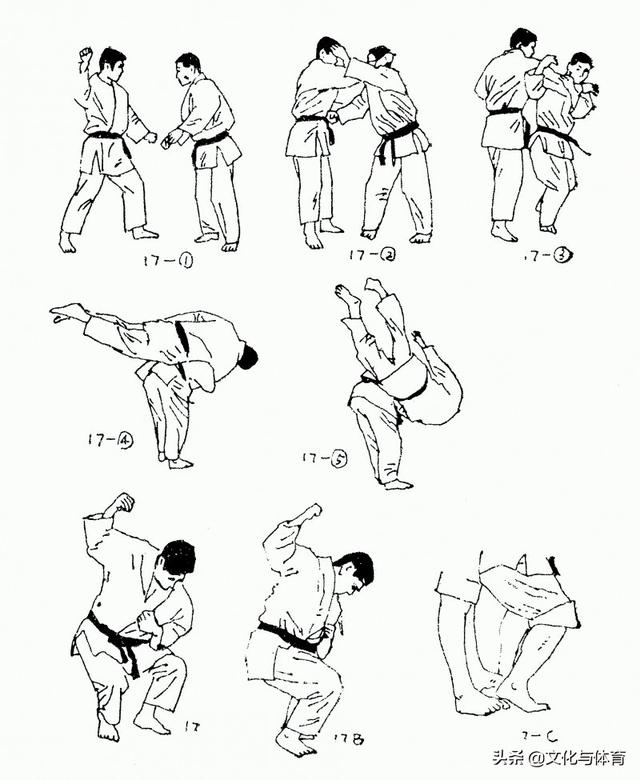 柔道一本