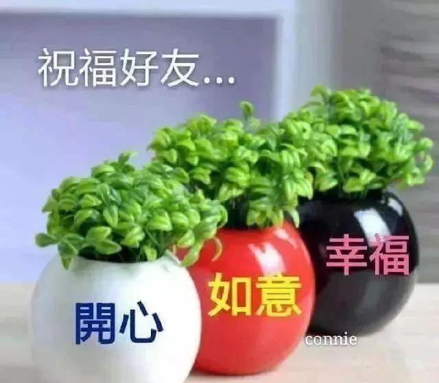 降温天冷的简短暖心问候说说 寒冬温暖早安问候语句配图
