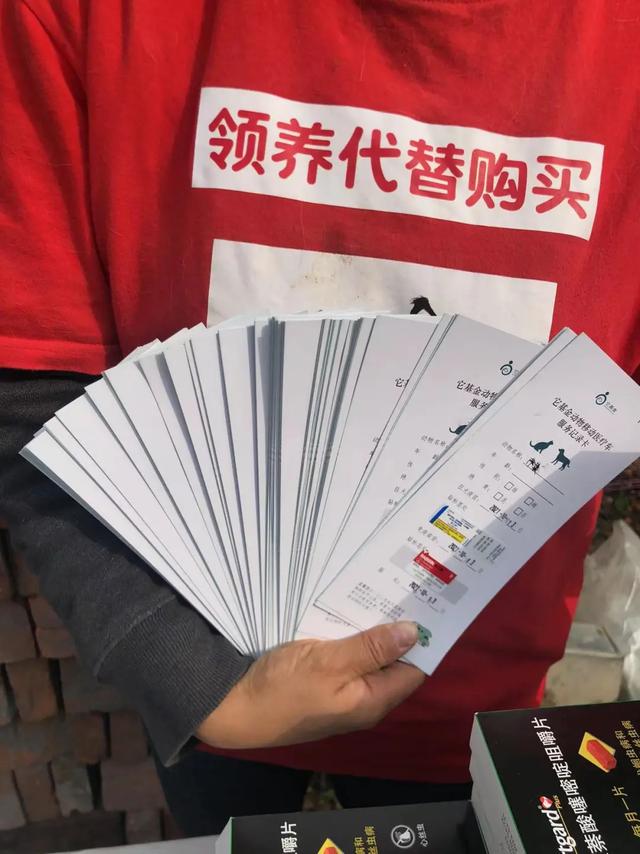 望京宠物医院