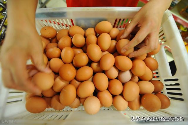 鸡蛋：情绪跌价，坎位难过