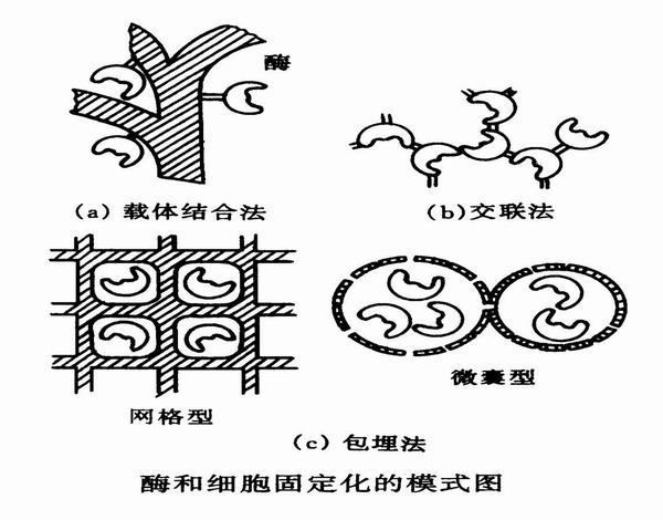 辽源污泥压滤机销售