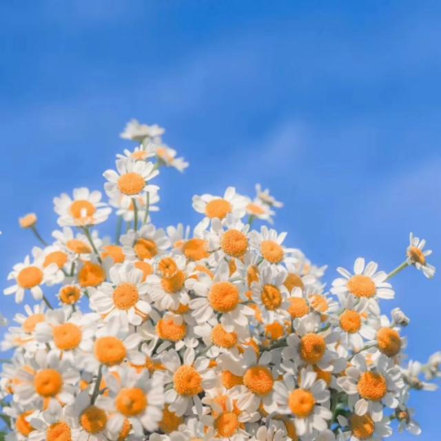 穿越成为赤司的妈妈（穿越黑篮成赤司的哥哥）