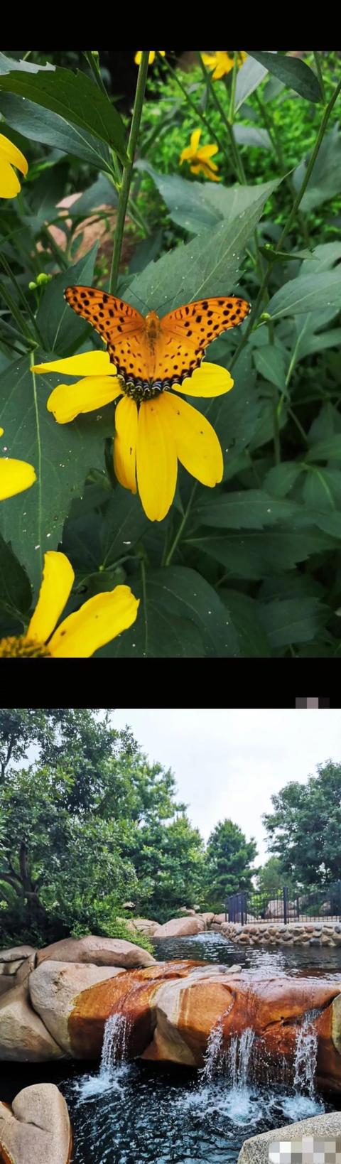 双减时代怎样的家庭更容易胜出