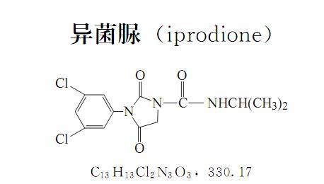 异菌脲——广谱、触杀性、保护性蔬菜常用杀菌剂，附常见施药方法