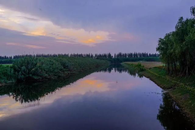 黃海森林公園團建