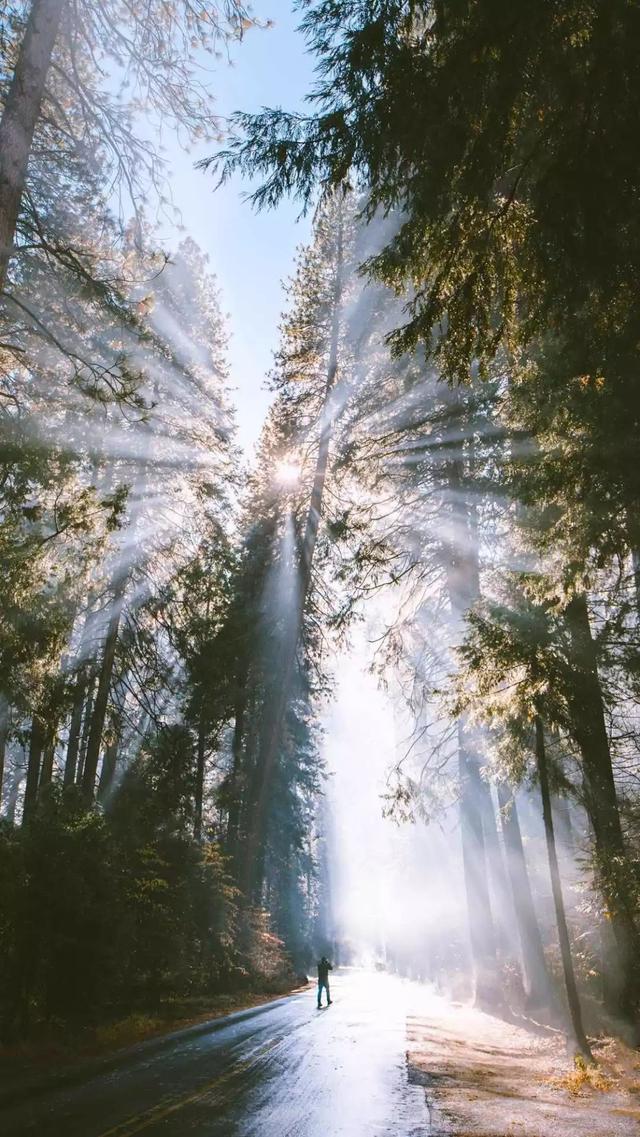 苹果格力 分身定制_苹果手机高清壁纸 全屏-站库网