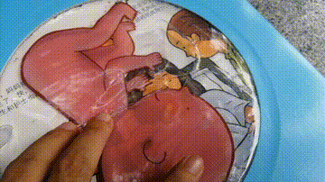 "我们的身体，翻烂了的机关书"