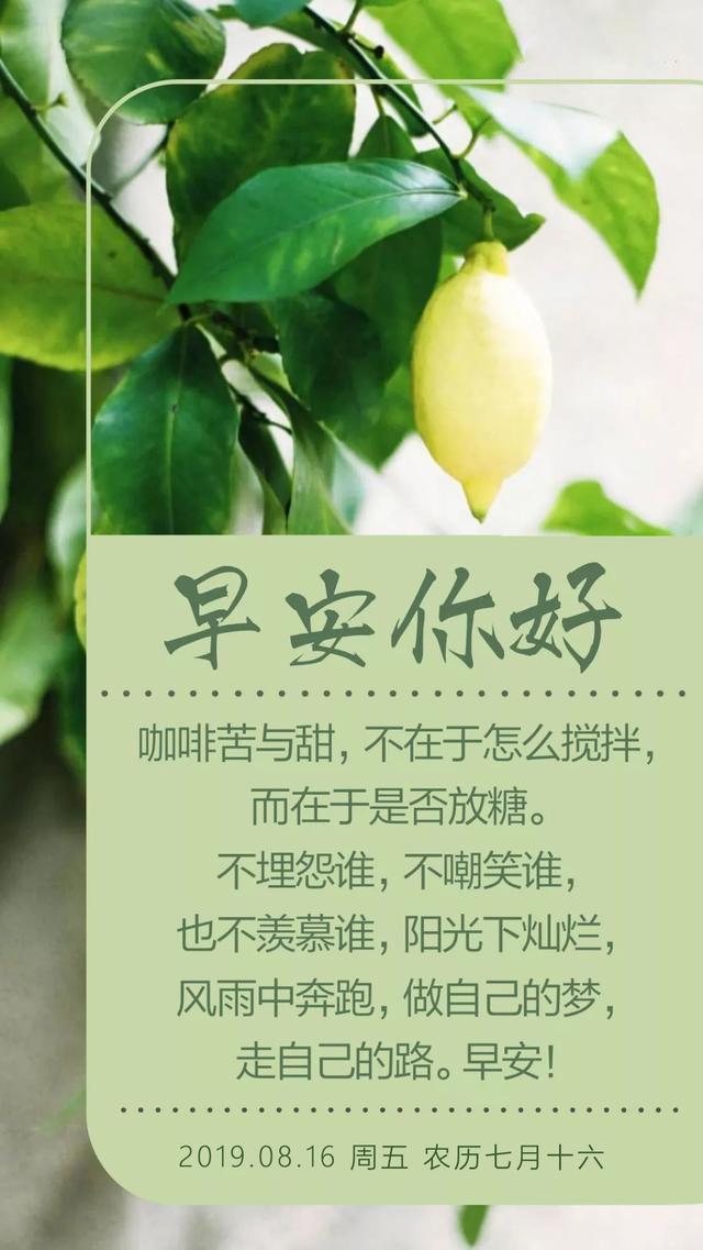 早安图片日签周五190816：只过好当天的日子，也不失为一种智慧