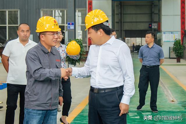 合肥对辊破碎机规格型号