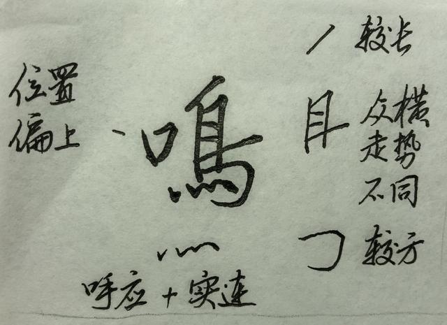 鸟的笔顺怎么写