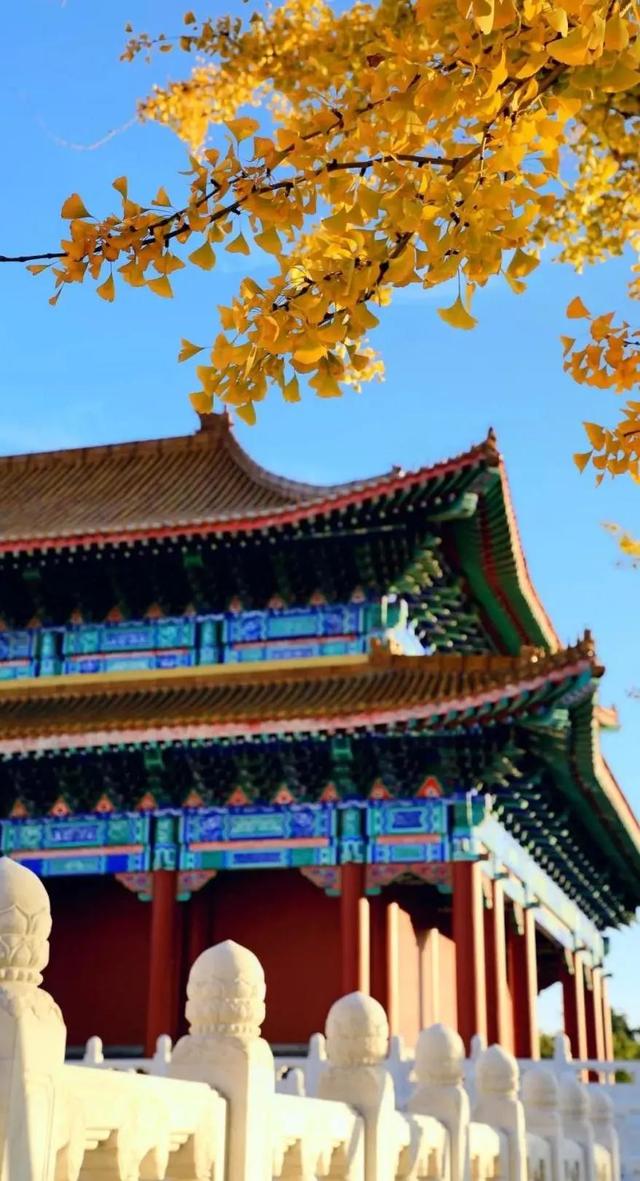 山东秋天景点排行榜前十名（人间最美是秋色）(34)