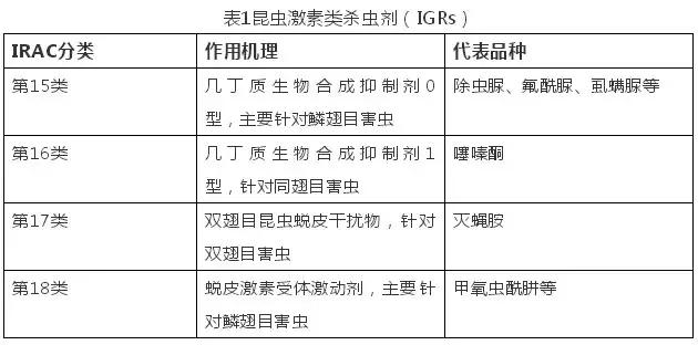 稻飞虱、白粉虱和蚧壳虫防治，噻嗪酮真有这么神？2