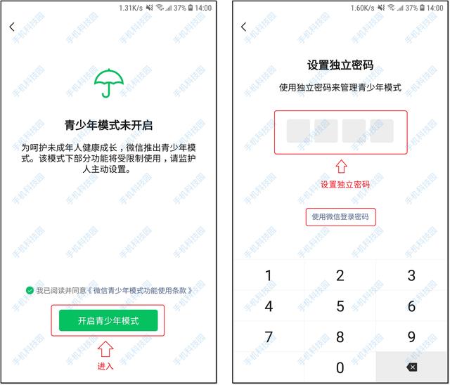 [蓝孔雀哪里买]，微信上繁体字咋设置
