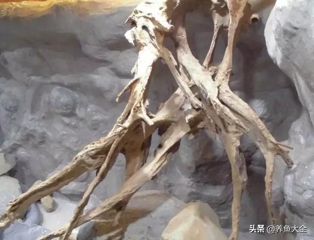 鱼缸制氧过滤机带装饰