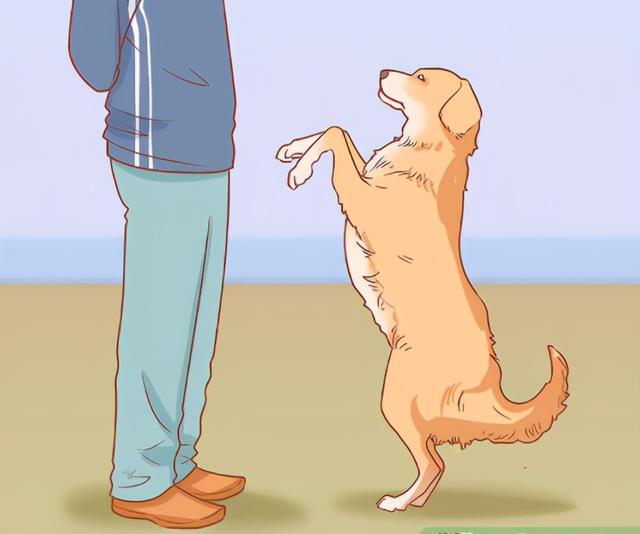 把小狗变成漫画人物怎么画(站立着的卡通狗怎么画)-艾拉养犬